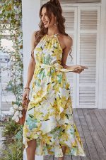 Robe Champêtre Coupe Asymetrique