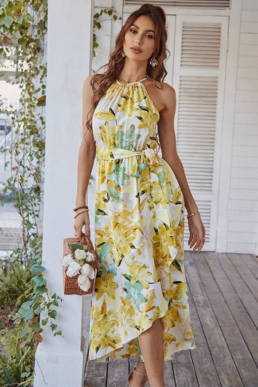 Robe Champêtre Coupe Asymetrique